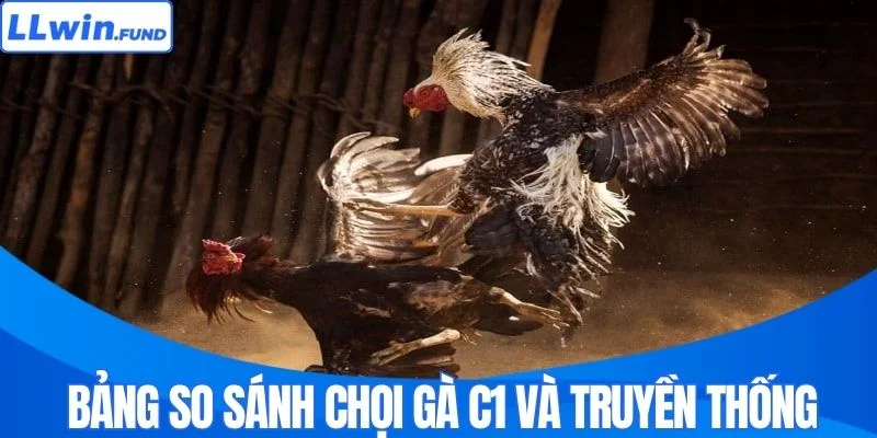 Bảng so sánh chọi gà C1 và truyền thống